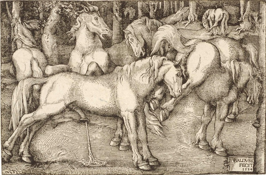 Hans Baldung Grien, 1534, gravure sur bois, papier | Cabinet des Estampes et des Dessins
