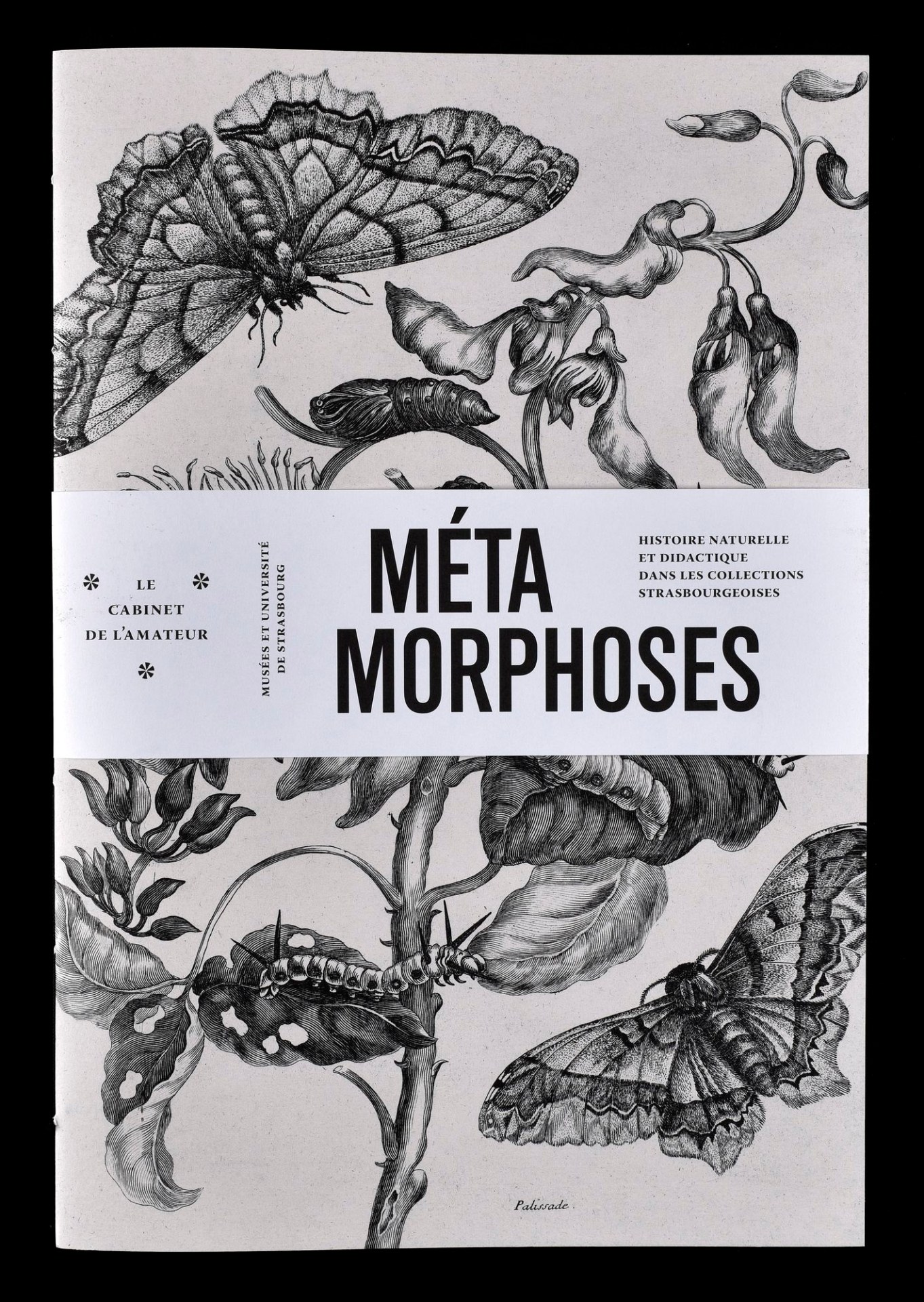 Métamorphoses