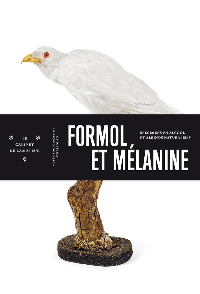 Formol et mélanine