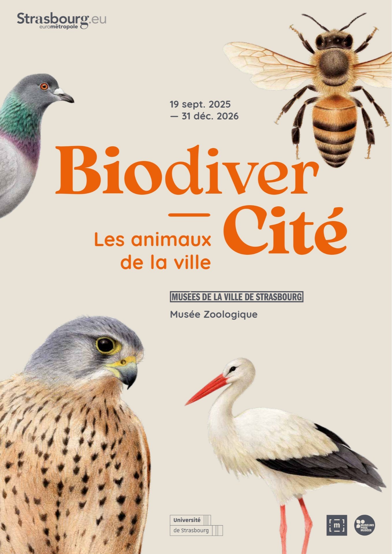 Biodivercité. Les animaux de la ville Biodivercité. Les animaux de la ville