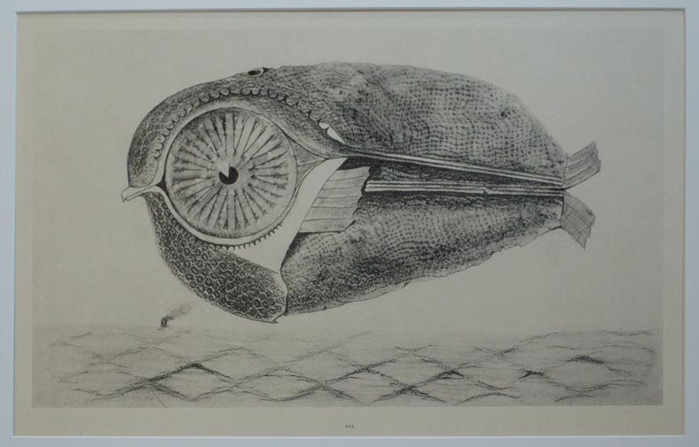 l’Évadé, de Max Ernst, a été le point de départ d’ateliers d’écriture et de peinture pour trois groupes d’une dizaine de détenus.Musées de Strasbourg