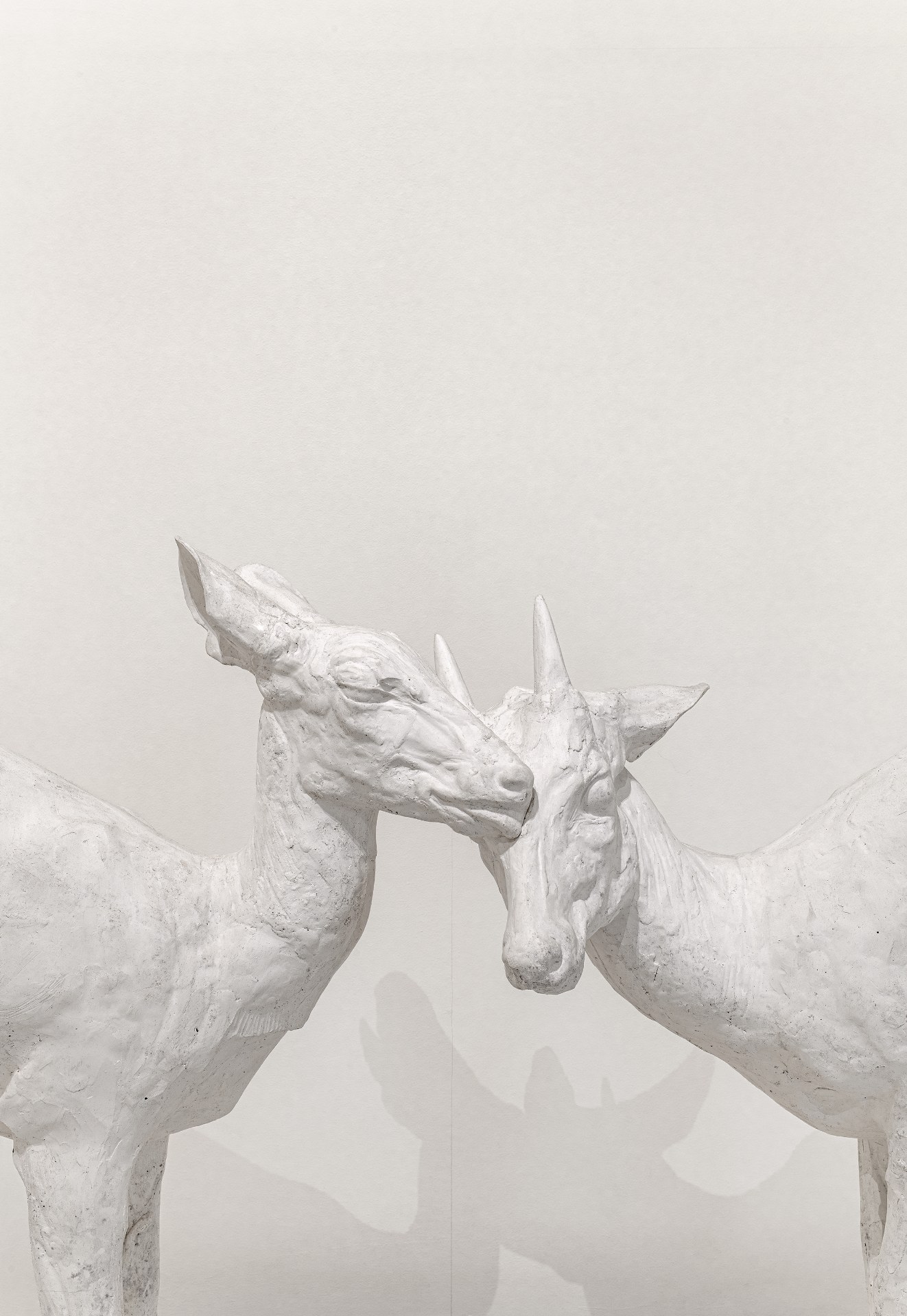 Der wilde Zustand. Tiere in den Sammlungen des MAMCS und des Zoologischen Museums