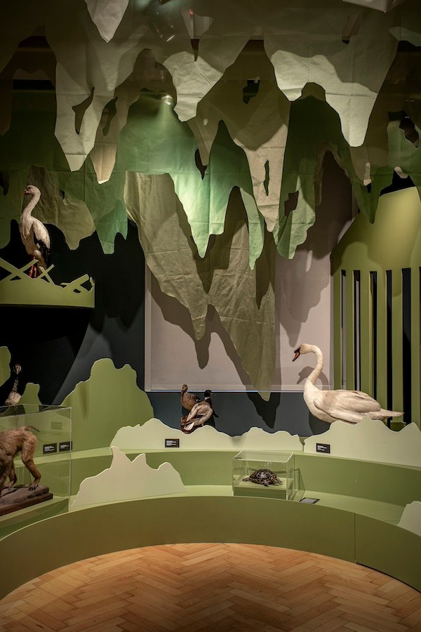 Découvrir l’exposition "Biodiversité"