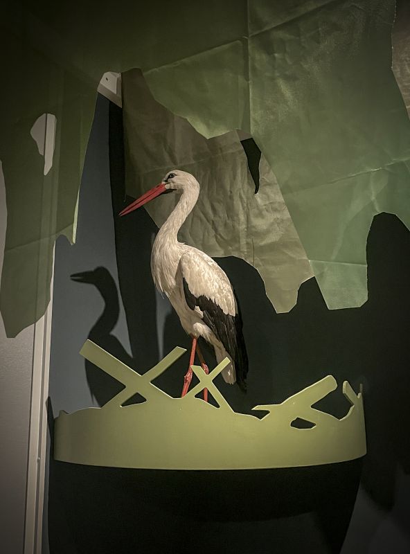Découvrir l’exposition "Biodiversité"