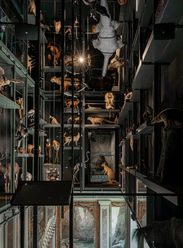 Première visite : Musée Zoologique
