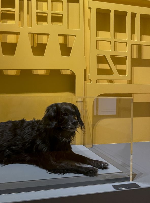 Parlez-vous chien ?