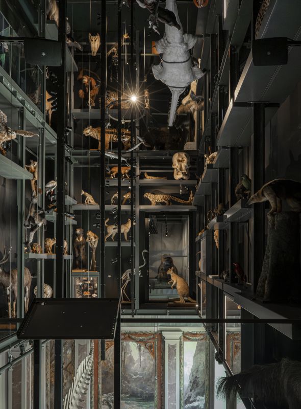 (Re)découverte du musée
