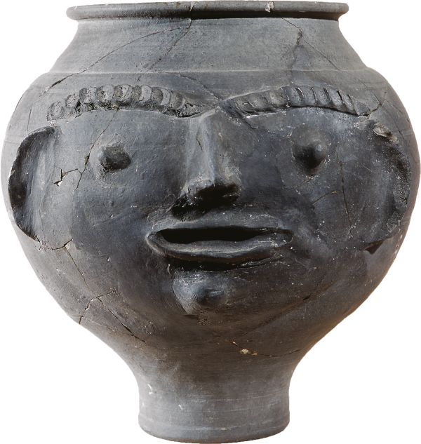 Mon pot Néo