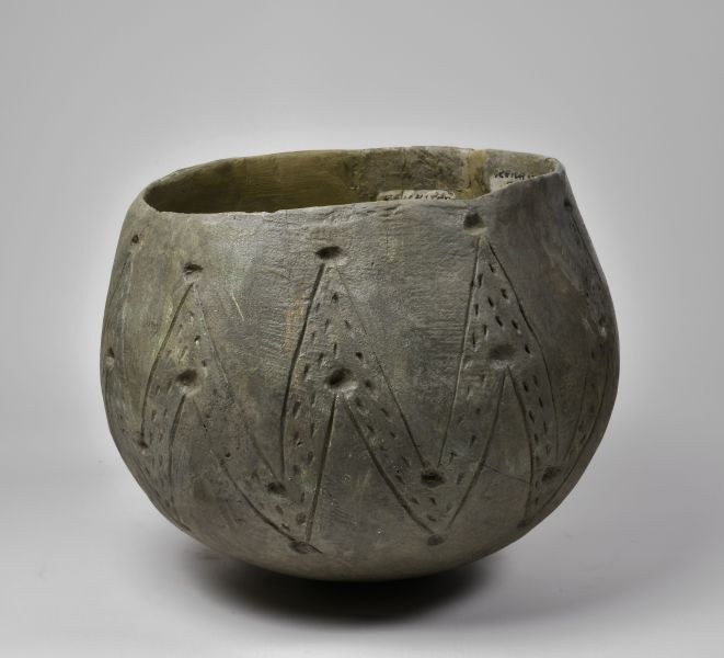 Mon pot Néo