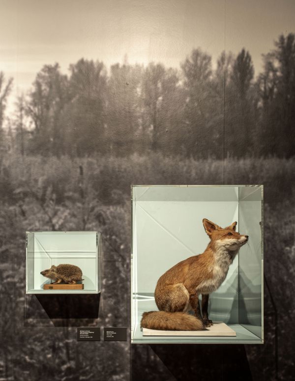 Le temps d’une rencontre : nature en ville