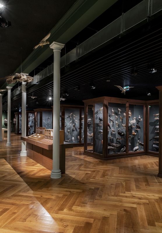 Entdeckung der Ausstellungen