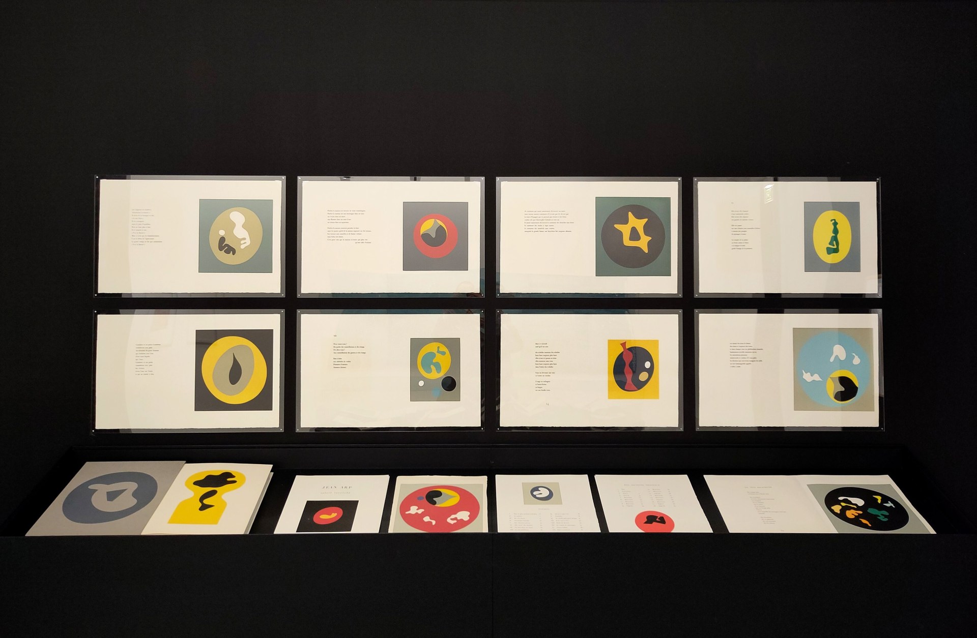 La bibliothèque des images. Livre et arts graphiques en dialogue (XIXe-XXIe siècles)