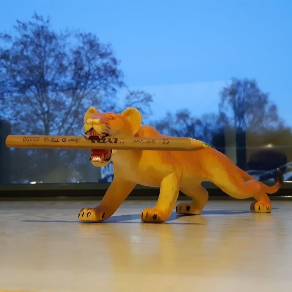 Suivez le crayon ! Spécial « L’état sauvage »